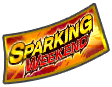 Ticket de tirage SPARKING WEEKEND