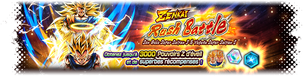 ZENKAI Rush Battle - Son Goku Super Saiyan 3 & Vegeta Super Saiyan 2 -