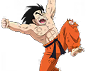 J'ai remporté le Tenkaichi Budokai !